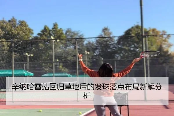 辛纳哈雷站回归草地后的发球落点布局新解分析